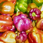colored vegetables
